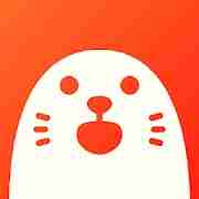 HOLLA Live Chat Mod APK icon